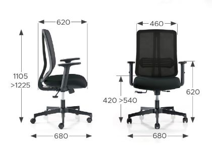 FAUTEUIL ERGONOMIQUE ELYSON RESILLE - 3 POSITIONS BLOCAGE NOIR ACCOUD REGL DT 3.57EEC